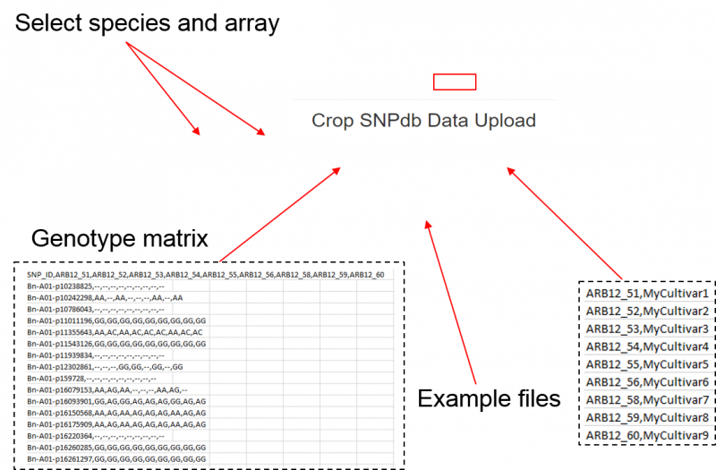 File:CropSNPdb Submit.png